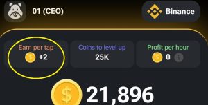 Hamster Kombat Daily Cipher 8 June 2024